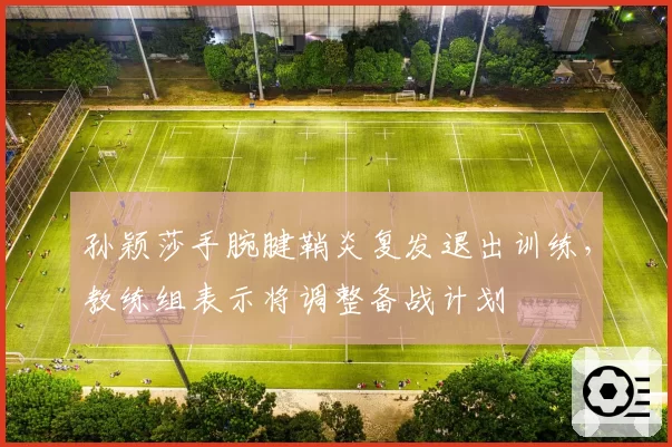 孙颖莎手腕腱鞘炎复发退出训练,教练组表示将调整备战计划