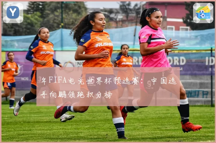 年FIFA电竞世界杯预选赛：中国选手向鹏领跑积分榜