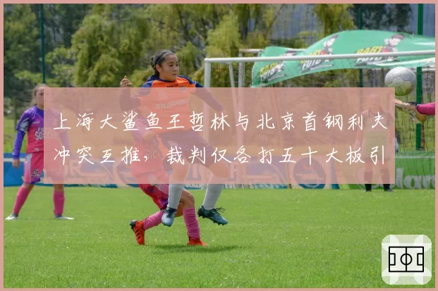 上海大鲨鱼王哲林与北京首钢利夫冲突互推,裁判仅各打五十大板引发双方不满